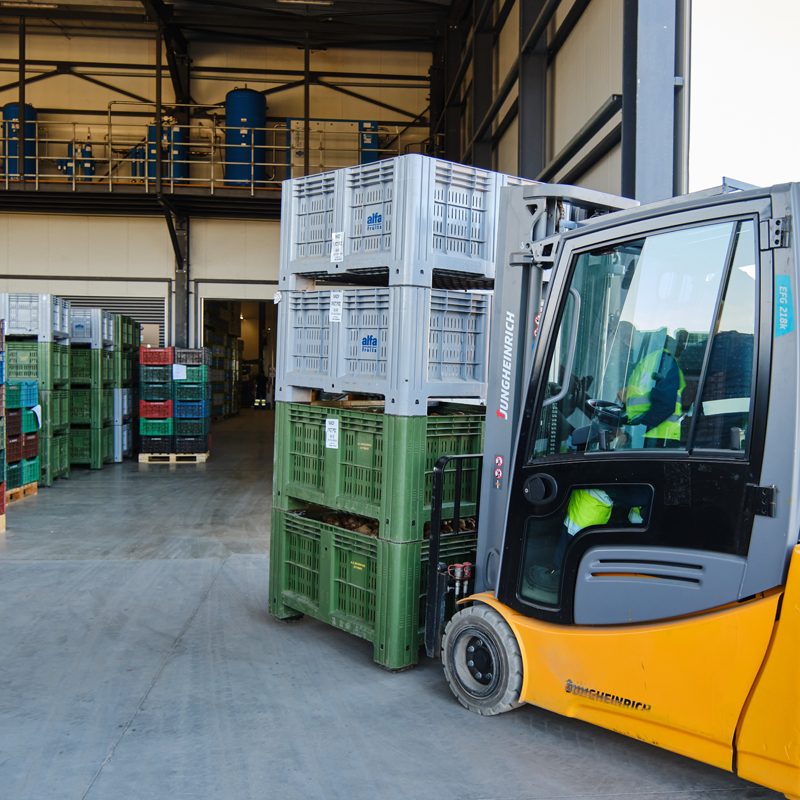 Storage in Controlled Atmosphere Cold Rooms