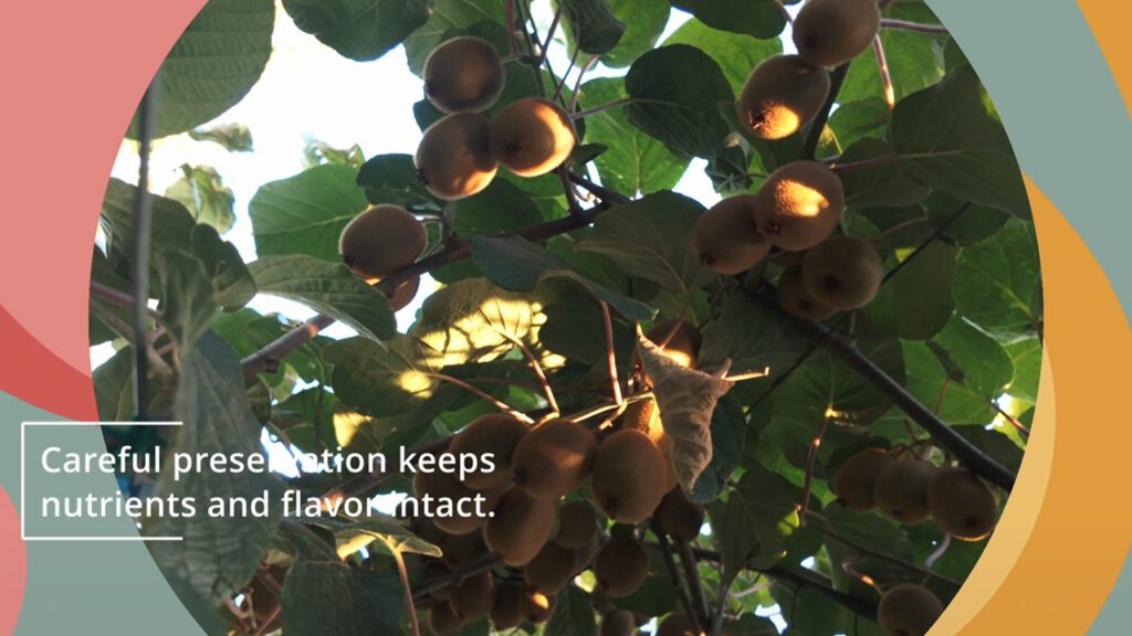 Kiwis Storage and Delivery