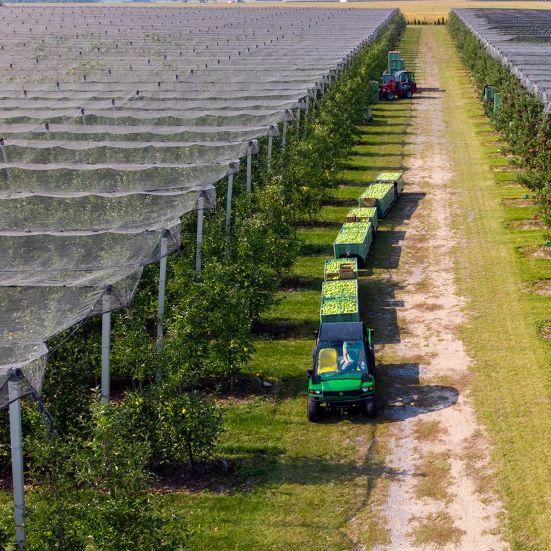 Orchard Establishment and Tree Management