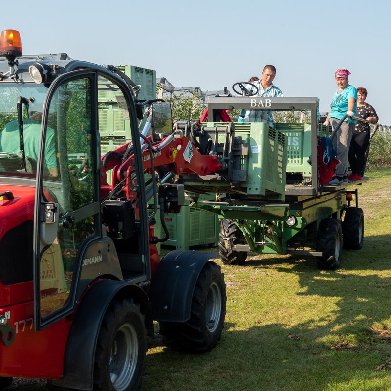 Integrated and Environmentally Friendly Production