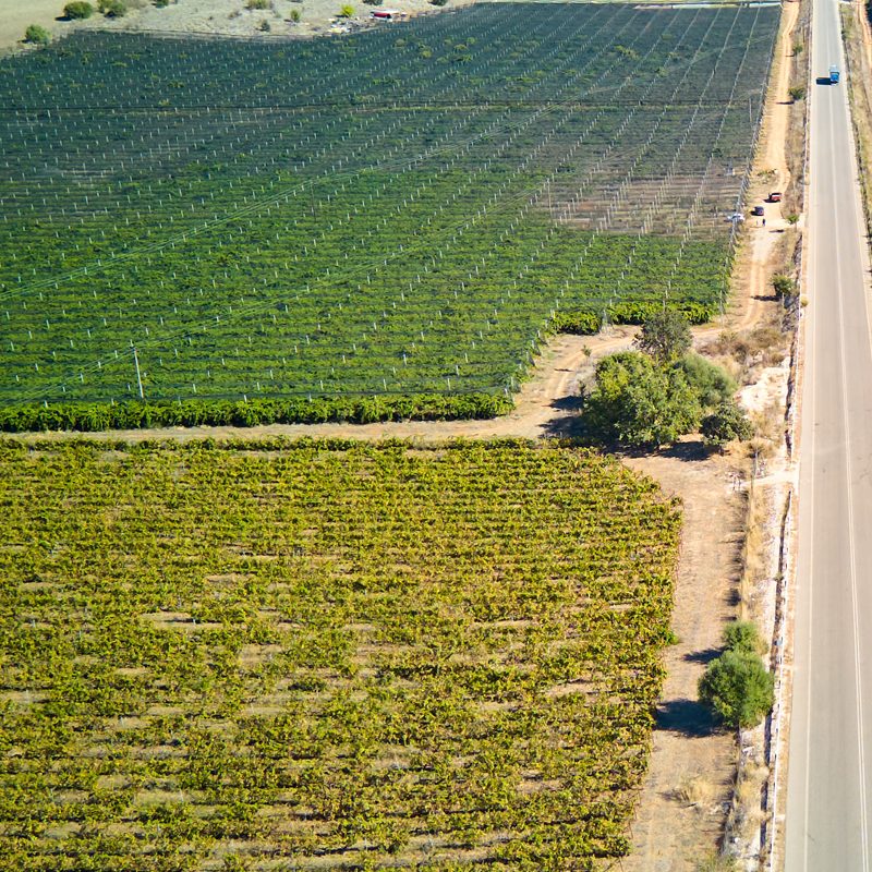 Fertilization and Irrigation