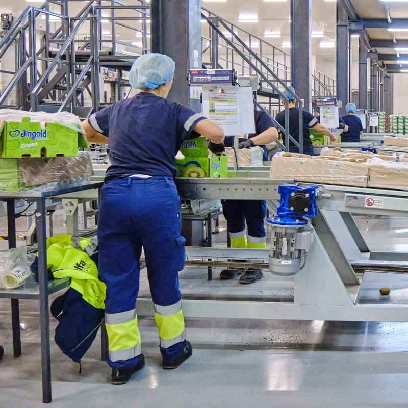 Integrated and Environmentally Friendly Production