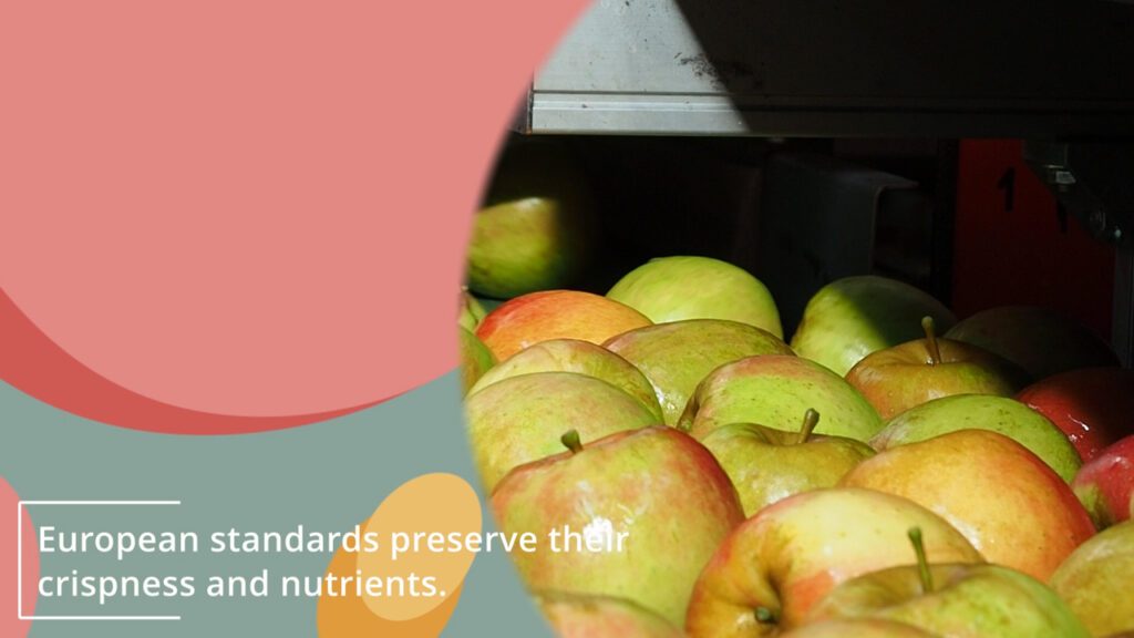 Storage and Delivery