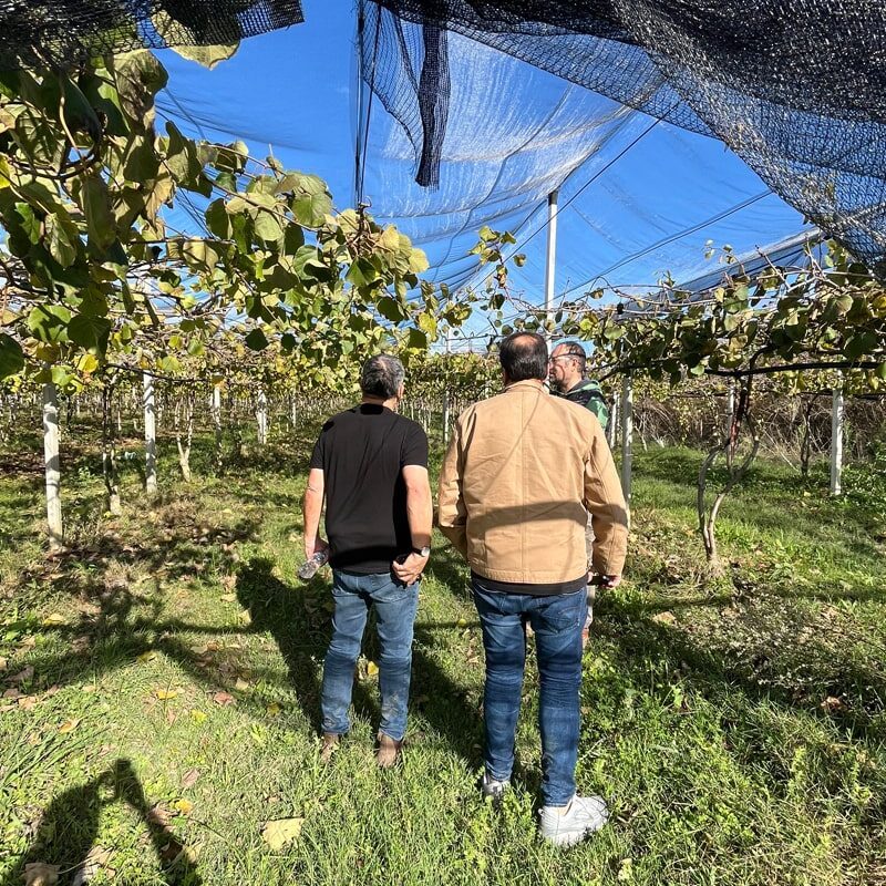 Study Tour to Greece and Poland from Israel