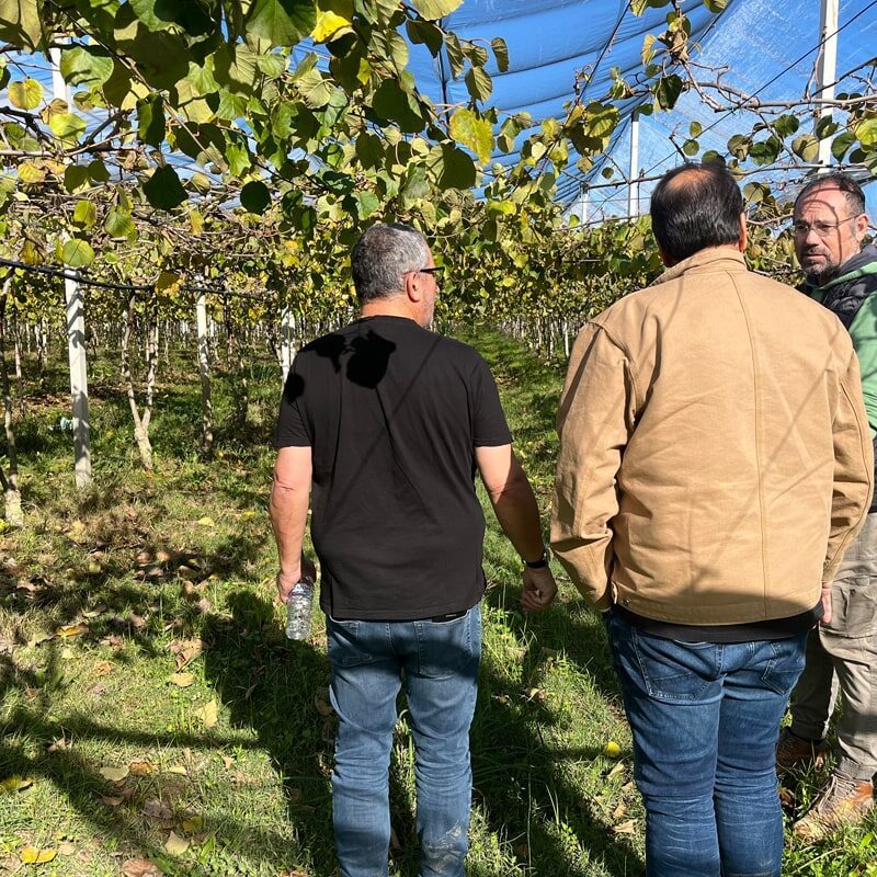 Study Tour to Greece and Poland from Israel