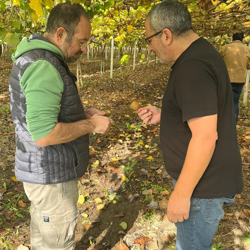 Study Tour to Greece and Poland from Israel