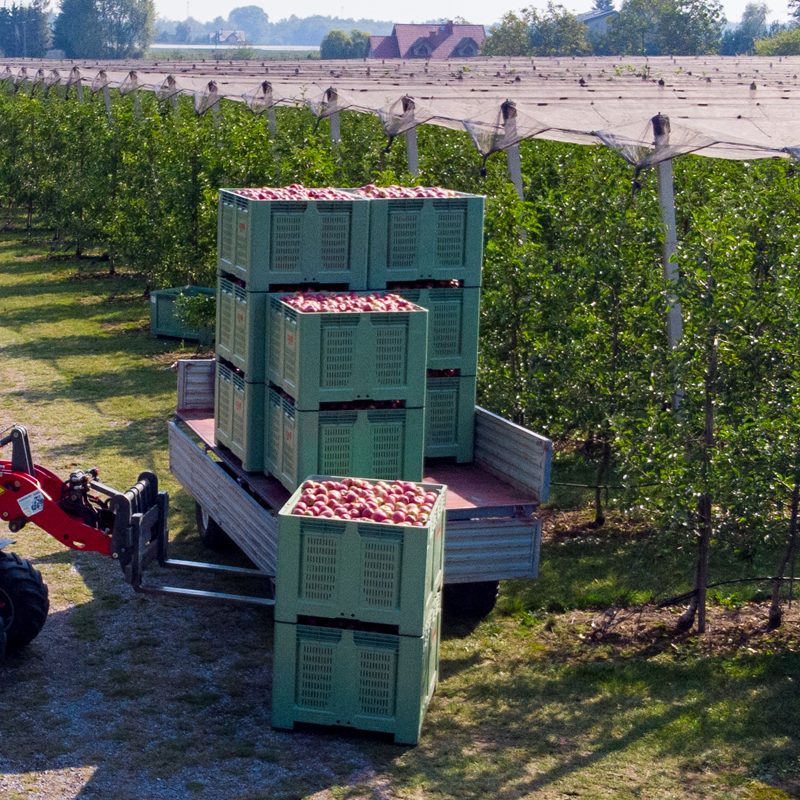 Traceability Throughout the Food Chain