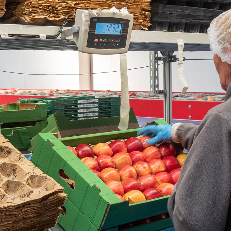 Transparent Information and Honest Labelling